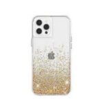 Ümbris Silicone Glitter Thin Mag Apple iPhone 14 (läbipaistev)