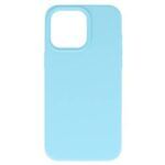 Silikoon Lite Case Samsung Galaxy S24 (helesinine)